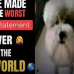 he made the worst statement ever in the world