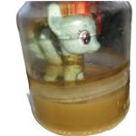 Rainbow Dash in Cum Jar