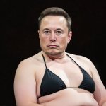 Elon Musk in Bikini