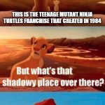 When was the Teenage Mutant Ninja Turtles franchise invented? | THIS IS THE TEENAGE MUTANT NINJA TURTLES FRANCHISE THAT CREATED IN 1984; YOU DON'T WANT TO KNOW | image tagged in memes,simba shadowy place,funny,tmnt,teenage mutant ninja turtles,nickelodeon | made w/ Imgflip meme maker
