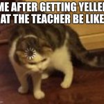 Loading cat | ME AFTER GETTING YELLED AT THE TEACHER BE LIKE | image tagged in loading cat,stfu,what the fuck did you just bring upon this cursed land,slay,karen,bitches be like | made w/ Imgflip meme maker