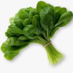 Spinach