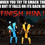 Finish Him | WHEN YOU TRY TO SMACK THE ROACH BUT IT FALLS ON ITS BACK INSTEAD | image tagged in finish him | made w/ Imgflip meme maker