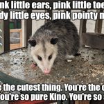 Awesome Possum | Pink little ears, pink little toes.  Beady little eyes, pink pointy nose. You're the cutest thing. You're the cutest 'possum. You're so pure Kino. You're so awesome. | image tagged in awesome possum,funny,nature,cute,awesome,opossum | made w/ Imgflip meme maker