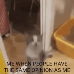 Yippee :D | ME WHEN PEOPLE HAVE THE SAME OPINION AS ME | image tagged in gifs,happy,kitty | made w/ Imgflip video-to-gif maker