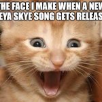Excited Cat | THE FACE I MAKE WHEN A NEW FREYA SKYE SONG GETS RELEASED | image tagged in memes,excited cat | made w/ Imgflip meme maker