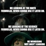 Confused Gandalf | ME LOOKING AT THE MATH FORMULAS. NEVER GONNA USE IT LATER ON. ME LOOKING AT THE SCIENCE FORMULAS. NEVER GONNA USE IT LATER ON. ME WONDERING WHY AREN'T LEARNING ABOUT TAXES INSTEAD | image tagged in memes,confused gandalf | made w/ Imgflip meme maker