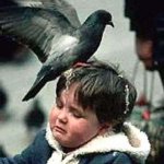 Pigeon shit on kid