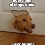 Golden Chip Retriever | Heard bag of chips open; I LIKE CHIPS! | image tagged in dog door,golden retriever,potato chips,snacks,hungry dog,yo dawg heard you | made w/ Imgflip meme maker