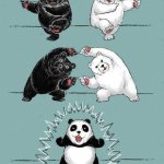 Panda evolution