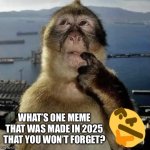 Nah but actually what you picking? | WHAT’S ONE MEME THAT WAS MADE IN 2025 THAT YOU WON’T FORGET? | image tagged in monkey thinking,funny memes,memes,gifs,2025,funny | made w/ Imgflip meme maker