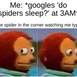 Monkey Puppet Meme | Me: *googles 'do spiders sleep?' at 3AM*; The spider in the corner watching me type: | image tagged in memes,monkey puppet | made w/ Imgflip meme maker