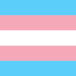 Trans flag