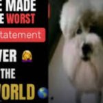 s | image tagged in he made the worst statement ever in the world | made w/ Imgflip meme maker