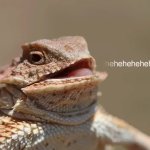 Laughing Lizard GIF Template