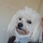 Yo todo enojado por qué mi mamá no me dejó salir