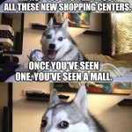 Now a brick and mortar bookstore... | IM NOT TOO EXCITED ABOUT ALL THESE NEW SHOPPING CENTERS. ONCE YOU'VE SEEN ONE, YOU'VE SEEN A MALL. | image tagged in memes,bad pun dog | made w/ Imgflip meme maker