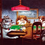Dogs playing poker