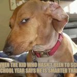 School Memes | ME WHEN THE KID WHO HASN'T BEEN TO SCHOOL THE WHOLE SCHOOL YEAR SAYS HE IS SMARTER THAN EVERYBODY | image tagged in dog sideeye | made w/ Imgflip meme maker