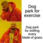 supsicles | Dog park for exercise; Dog park for sniffing every blade of grass | image tagged in memes,drake hotline bling | made w/ Imgflip meme maker