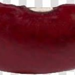 Bean