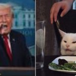 Trump Screaming at Cat