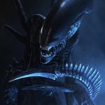 Xenomorph