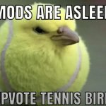 mods are asleep meme