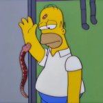 Snakes — nature's quitters