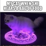 Whomst has Summoned the almighty one | MY CAT WHEN SHE HEARS A BAG OF FOOD | image tagged in whomst has summoned the almighty one | made w/ Imgflip meme maker