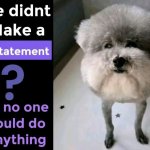 Statement Dog