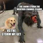 Weather accuracy | THE SNOW STORM THE WEATHER CHANNEL CLAIMS; VS THE STORM WE GET | image tagged in dog vs werewolf | made w/ Imgflip meme maker