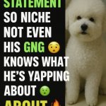 He made a statement so niche dog