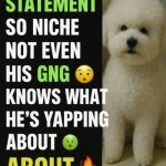 he made a statement so niche