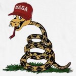 Don’t tread on maga