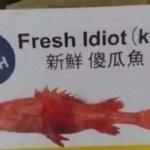 fish