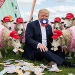 TRUMPSYNDROME meme