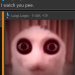 I watch you pee meme