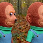 monkey puppet looking away