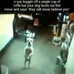 ‎ ‎ ‎ ‎ ‎ ‎ ‎ ‎ ‎ ‎ ‎ ‎ ‎ ‎ ‎ ‎ ‎ ‎ ‎ ‎ ‎ ‎ ‎ ‎ ‎ ‎ ‎ ‎ ‎ ‎ ‎ ‎ ‎ ‎ ‎ ‎ ‎ ‎ ‎ ‎ ‎ ‎ ‎ ‎ ‎ ‎ ‎ ‎ ‎ ‎ ‎ ‎ ‎ ‎ ‎ ‎ ‎ ‎ ‎ ‎ ‎ ‎ ‎ ‎ | when it's your fourth all nigher n you buggin off a single cup of coffe but your dog busts out this move and says "they will never believe you" | image tagged in gifs,g | made w/ Imgflip video-to-gif maker