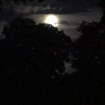 Goodnight GIF Template