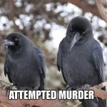 Blame English, not me | ATTEMPTED MURDER | image tagged in attempted murder | made w/ Imgflip meme maker