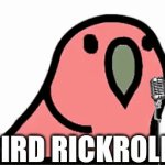 Bird Rickroll! | BIRD RICKROLL! | image tagged in gifs,rickroll,party parrot | made w/ Imgflip video-to-gif maker