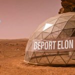 Deport Elon Now template