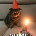 sorry Christmas birthdays | NOBODY :; CHRISTMAS BIRTHDAYS | image tagged in sad birthday cat | made w/ Imgflip meme maker