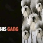 His gang