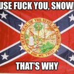 Matt Dillon Confederate Florida Flag