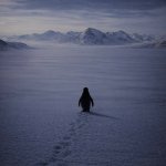 Penguin walking into mountains
