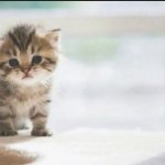 Society turns me into a monster