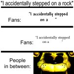 "I accidentally stepped on a rock" meme